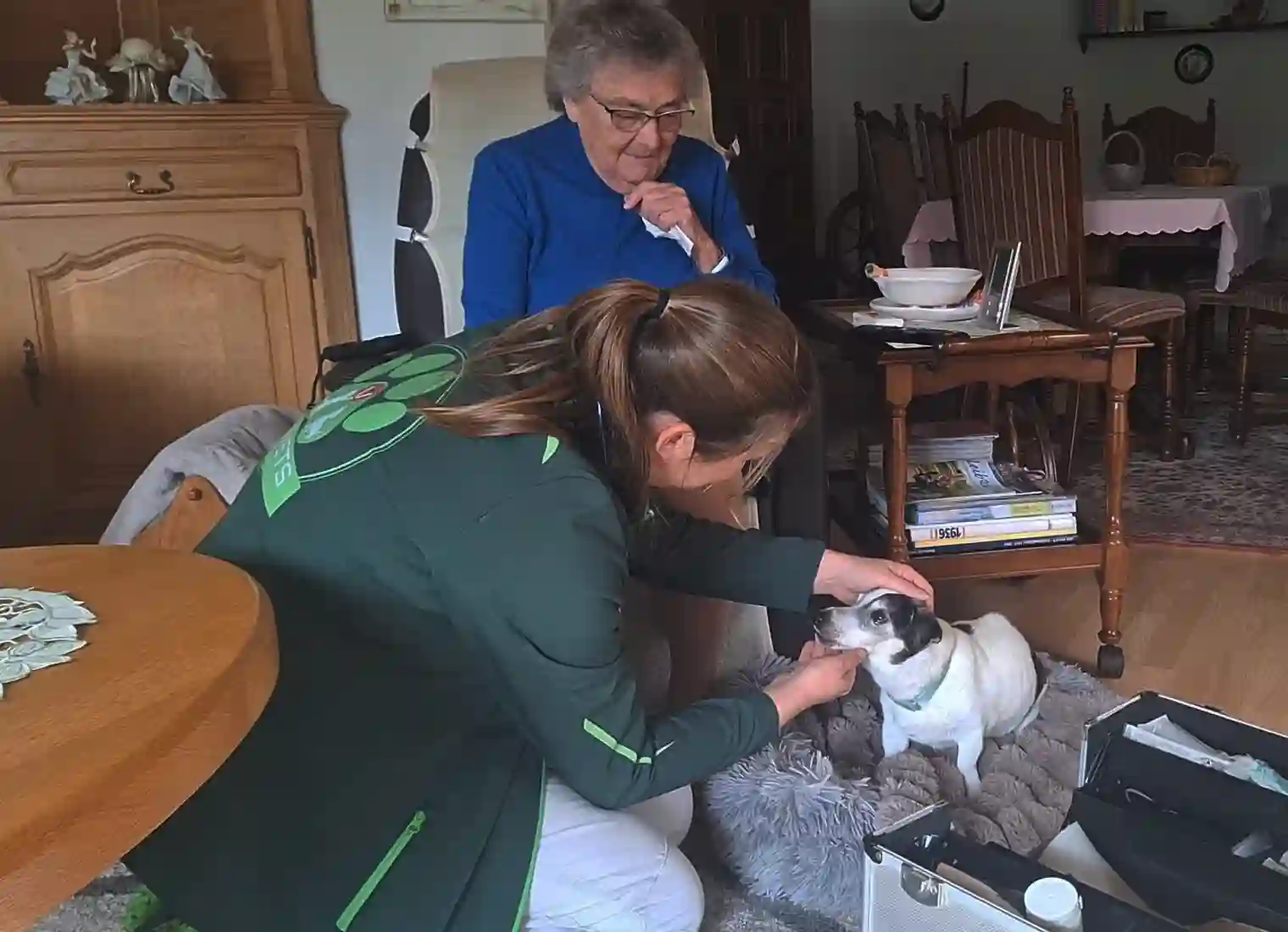 Tierärztin untersucht einen Hund im Wohnzimmer, die Besitzerin schaut zu