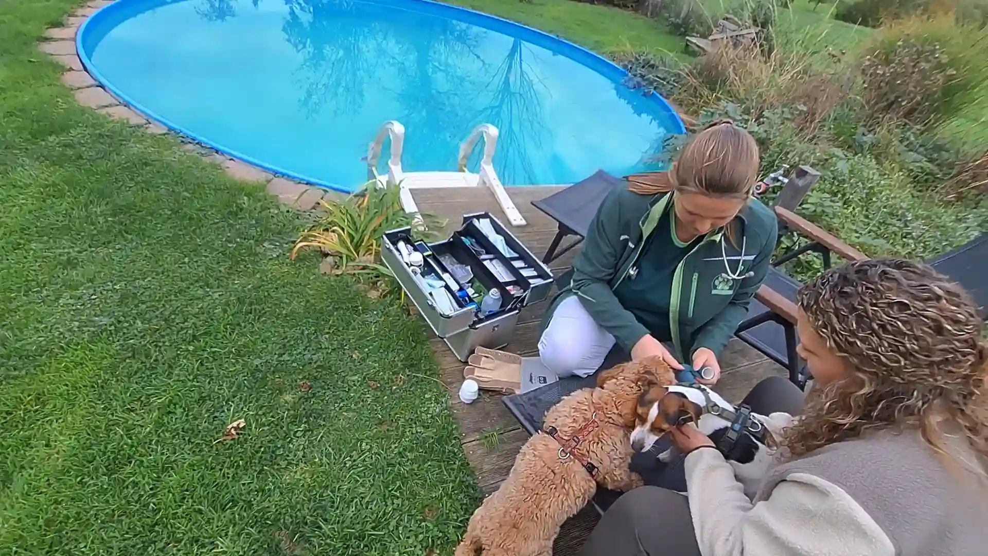 Behandlung eines Hundes im Garten, die Besitzerin hält ihn dabei